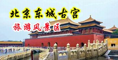 黑大屌操花心女视频中国北京-东城古宫旅游风景区